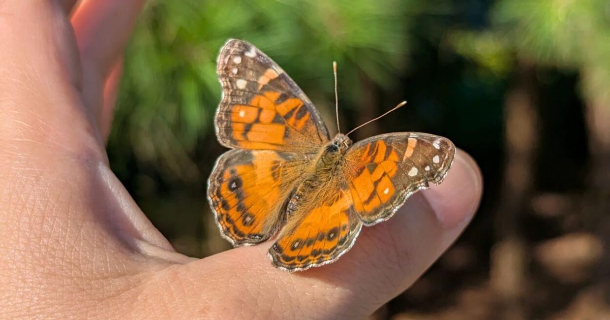 Delaware Botanic Gardens to host First iNaturalist Bioblitz