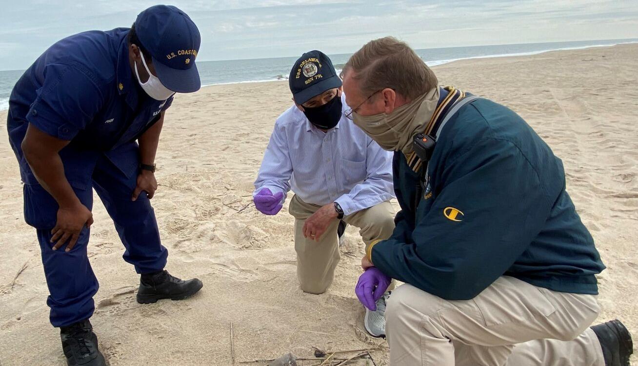 Coast Guard, DNREC respond to reports of oil on Delaware beaches - Vimarsana News