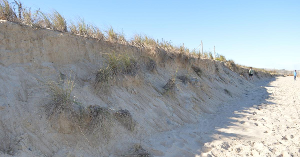 Calef reports that dunes worked as hoped