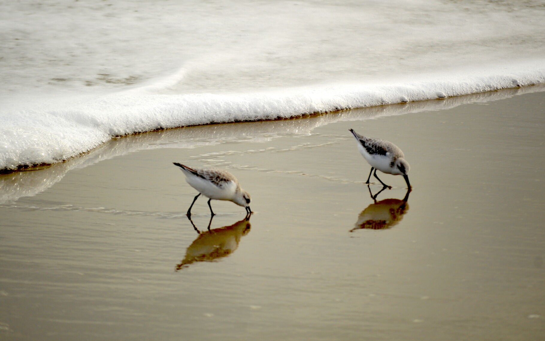 Southern Delaware Tourism invites visitors to change their point of view - Vimarsana News