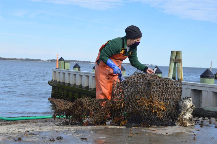 Derelict Crab Pot Removal — Delaware Sea Grant