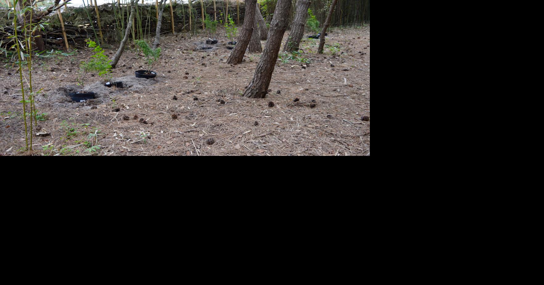 Neighbors of preserve wary of natural fence