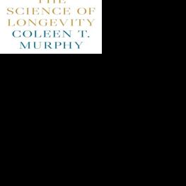 Princeton longevity expert to discuss science of aging March 5 - Vimarsana News