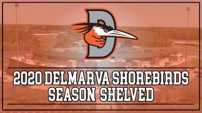 Shorebirds announce 2023 coaching staff - 47abc