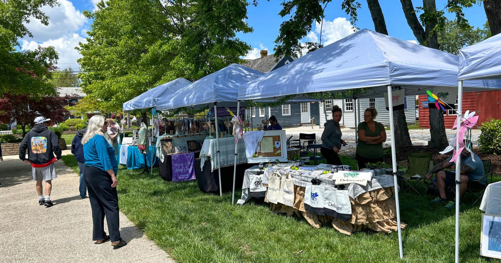 Spotlight turns to Spring Fling - Vimarsana News