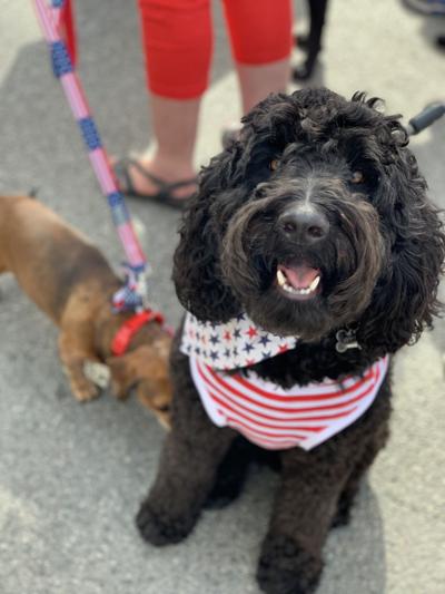 Otis
