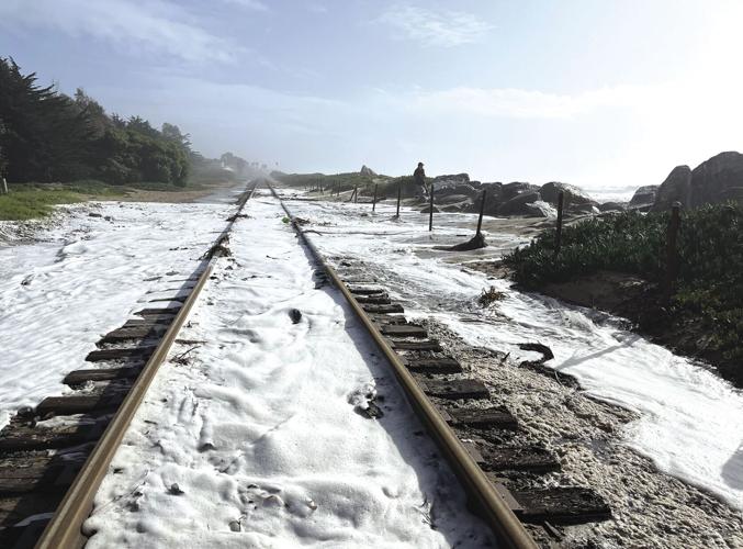 Local news and information for the Carpinteria Valley