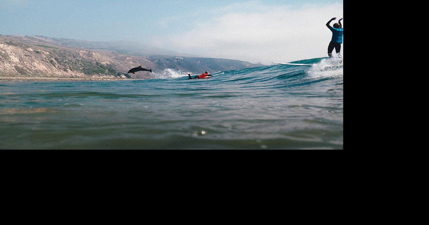 Idyllic conditions for third annual Toes in the Cove | Sports ...