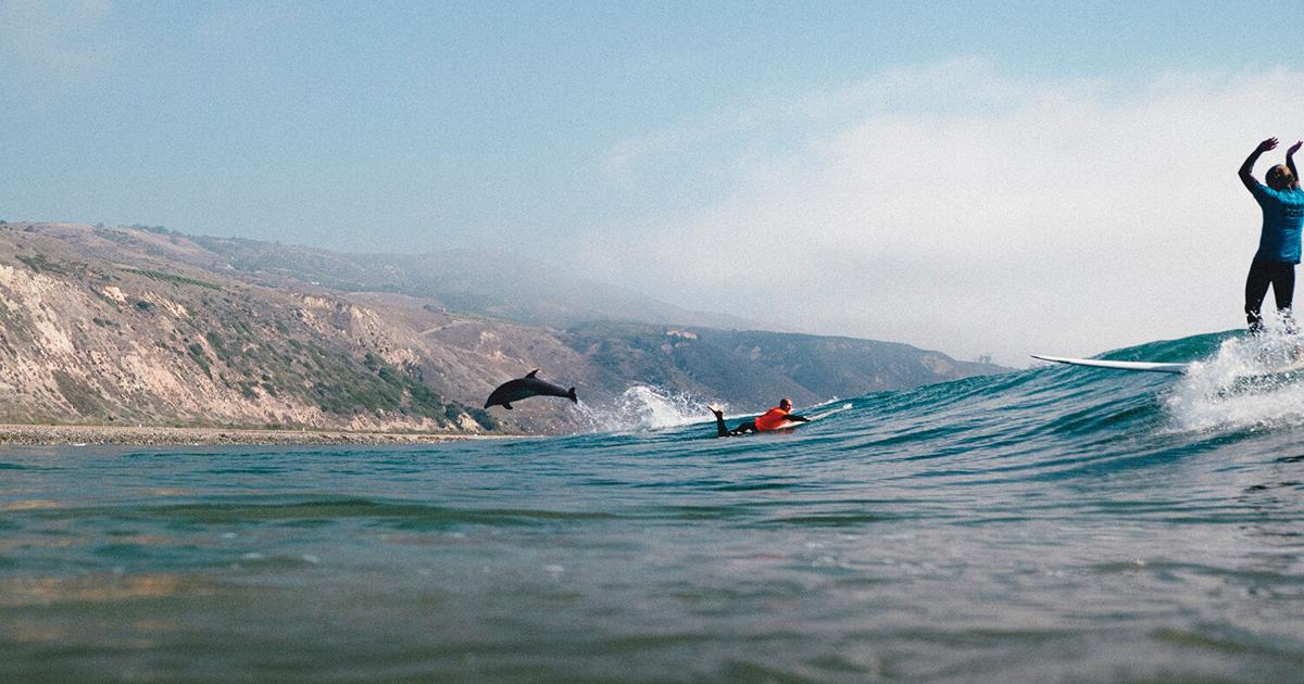 Idyllic Conditions Idyllic conditions for third annual Toes in the Cove | Sports ...