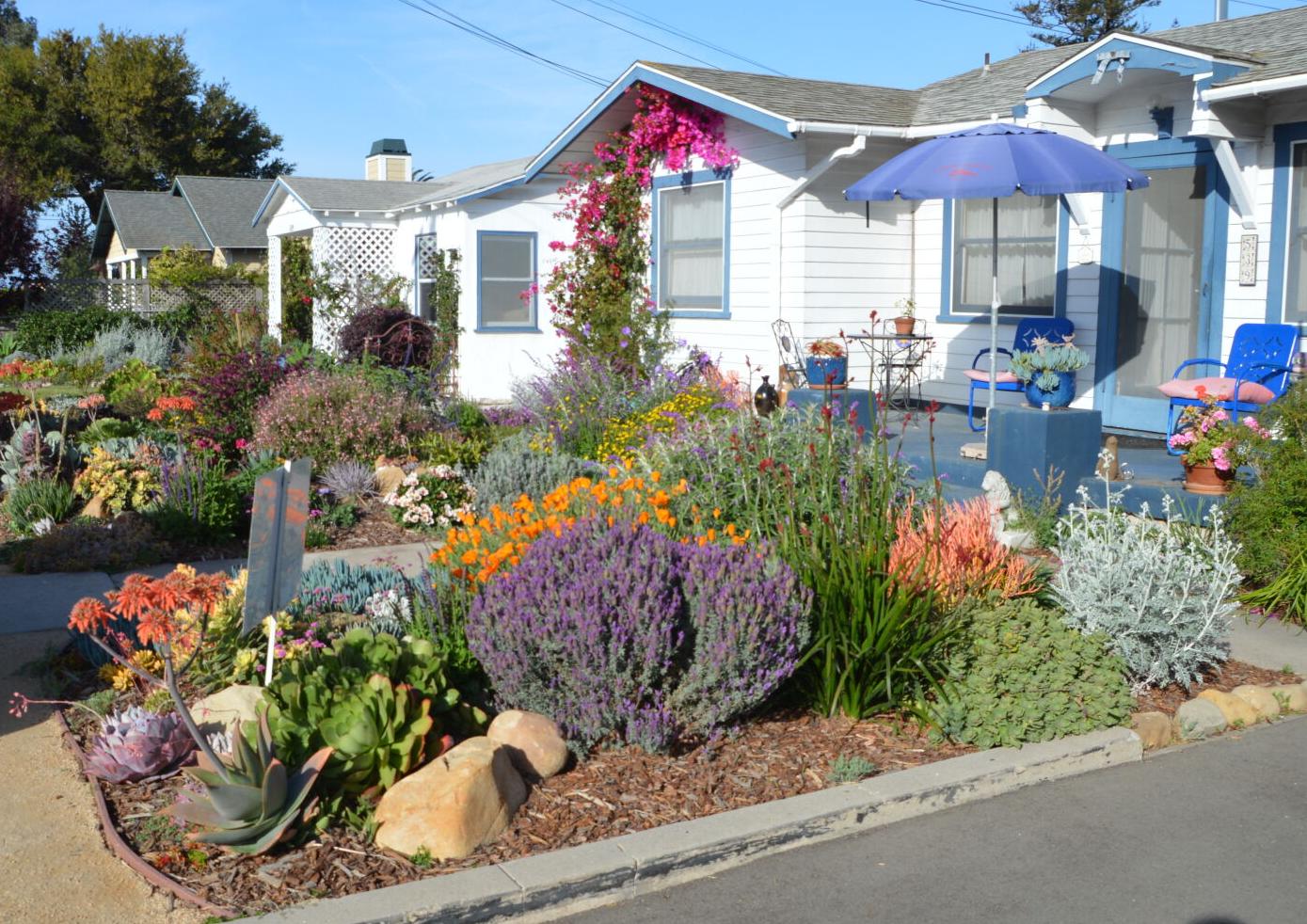 Walnut Avenue bungalows are "Looking Good" | News - Vimarsana News