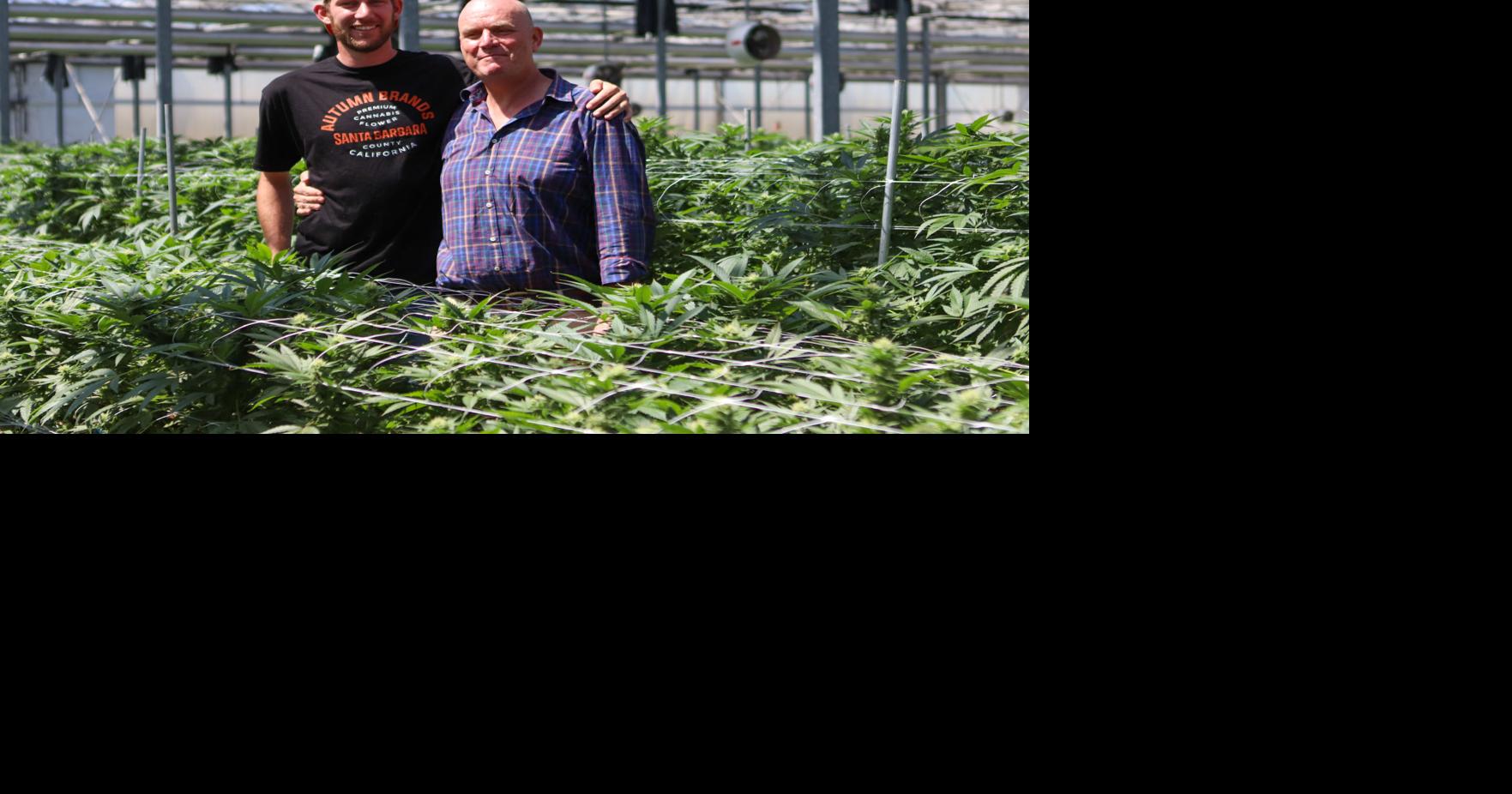 Local grower Hans Brand shares his view of Carpinteria Valley’s