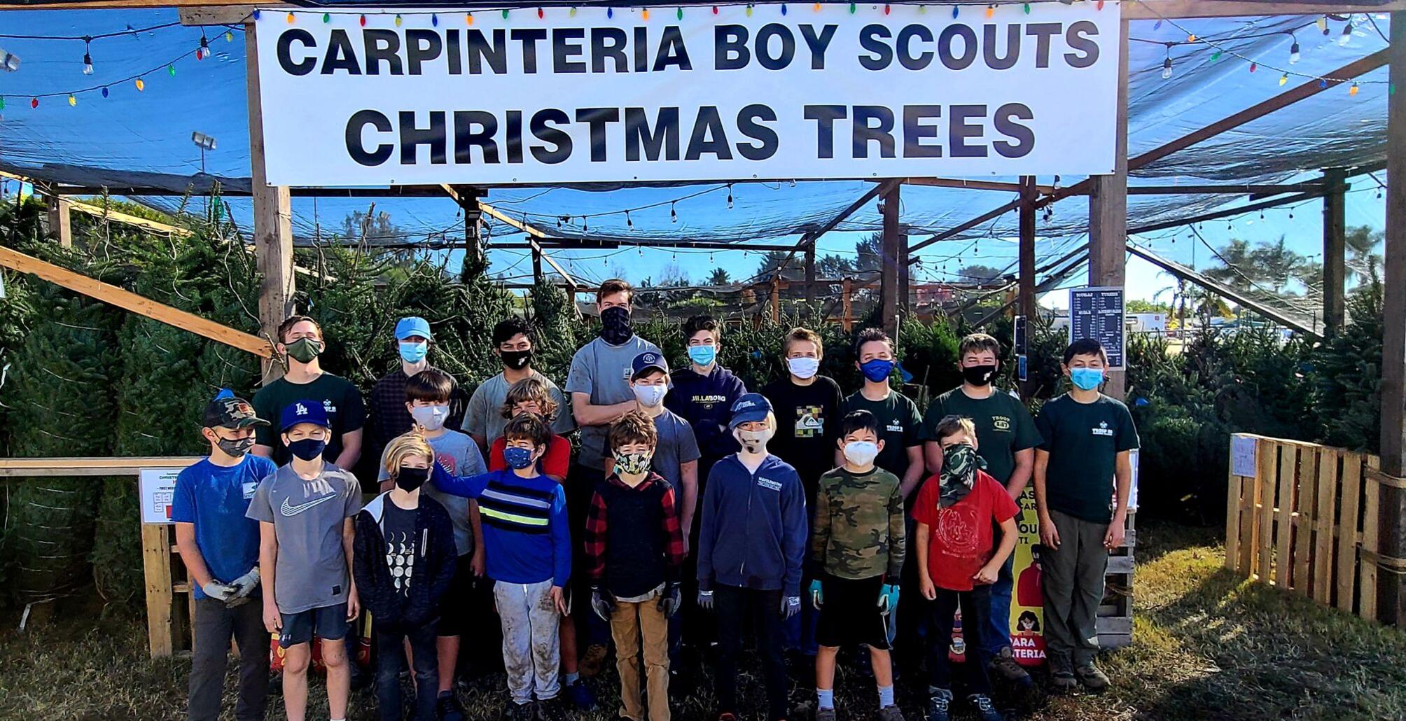 Scouts Christmas Tree Lot opens News