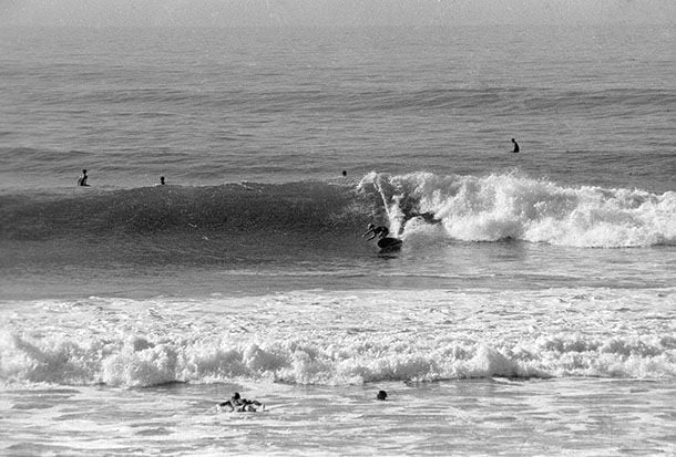 Waves NC, Surf Fishing - Main Forum - SurfTalk