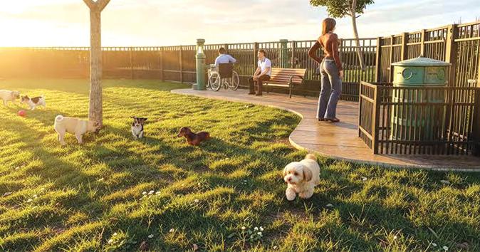 ARB grants preliminary approval to official Monte Vista Dog Park plans