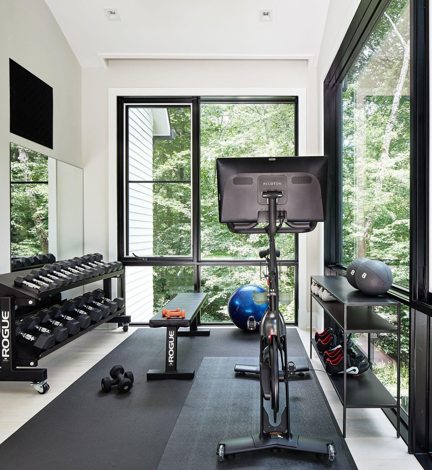 Want a home gym Try these items Pt. 1 Opinion coastalview