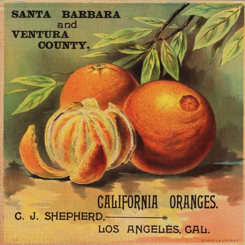 Shepard’s Ranch