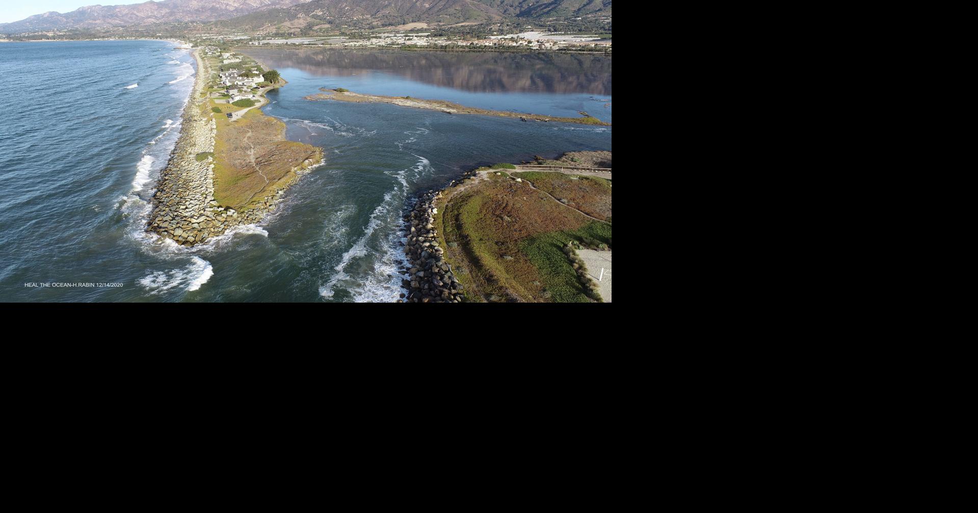 Nature’s epic travelers | Opinion | coastalview.com