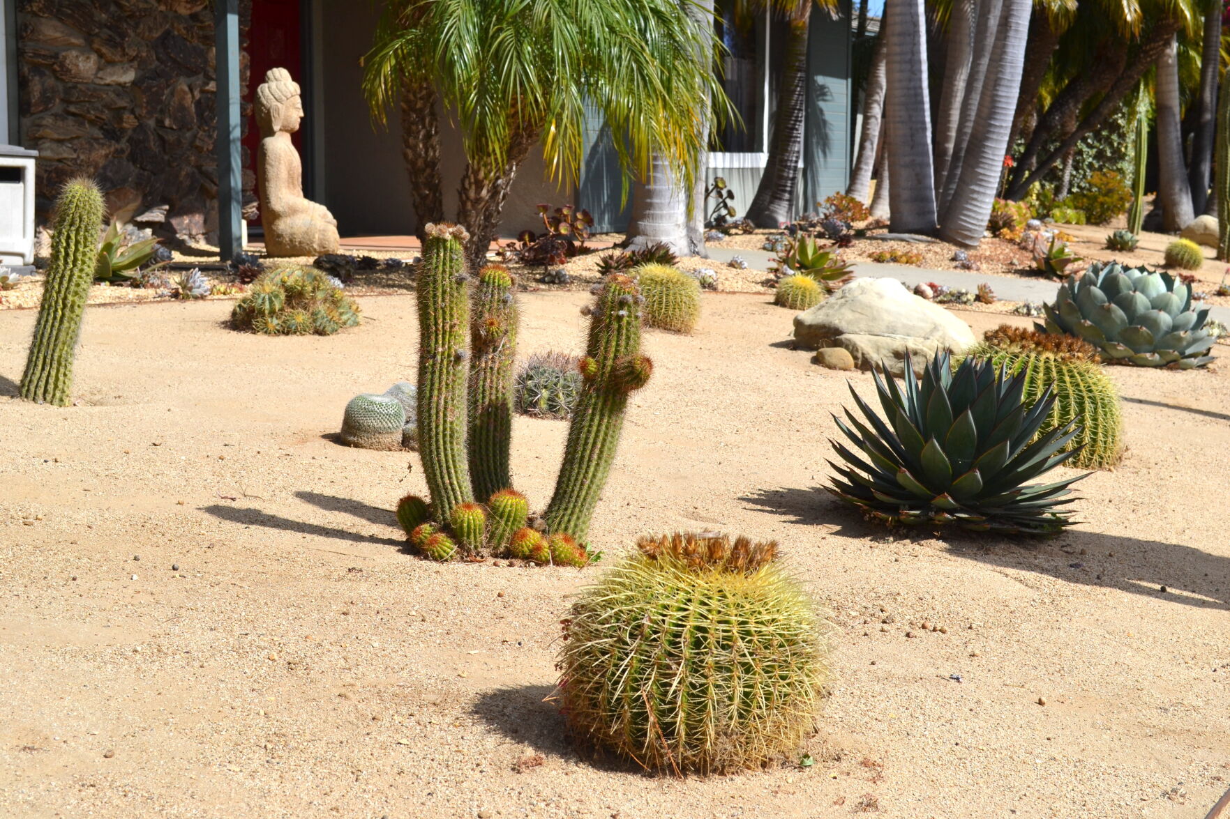 A “coastal desert landscape,” right around the corner | News