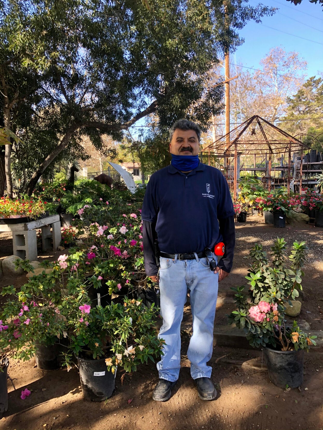 Planting good business roots: Island View Nursery | Business |  coastalview.com