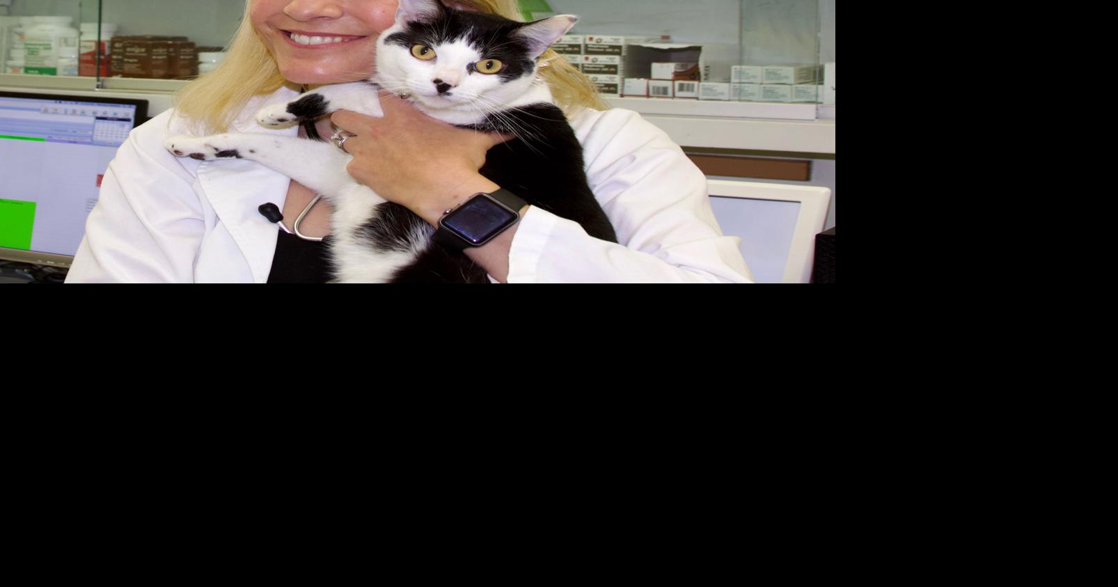 Q&A with Carpinteria’s new veterinarian Dr. Oliver joins Animal