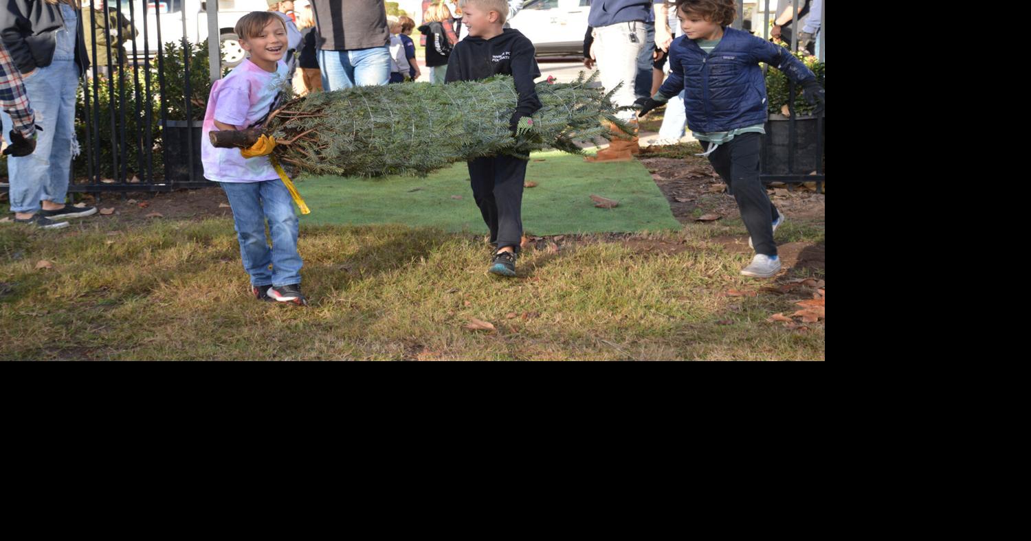 Scouting that perfect tree | News | coastalview.com