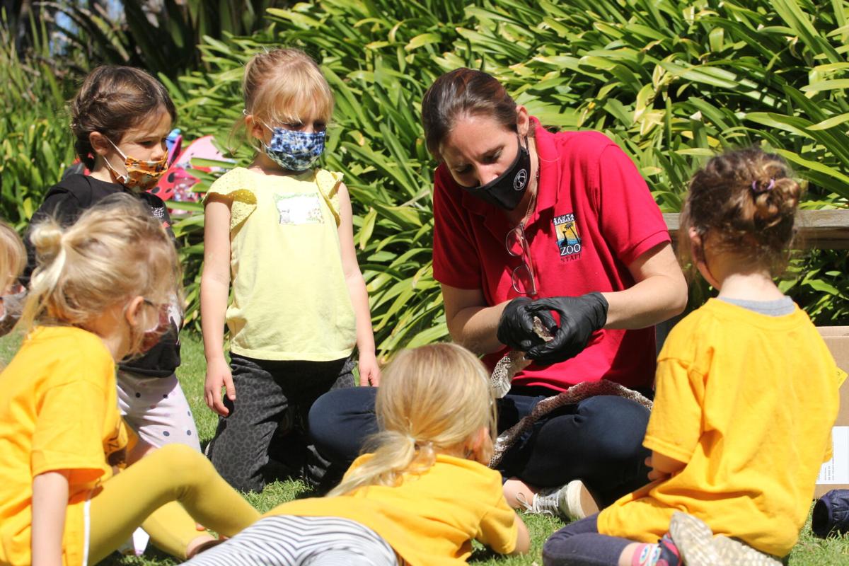 Santa Barbara Zoo Opens Summer Zoo Camp Registration News Coastalview Com