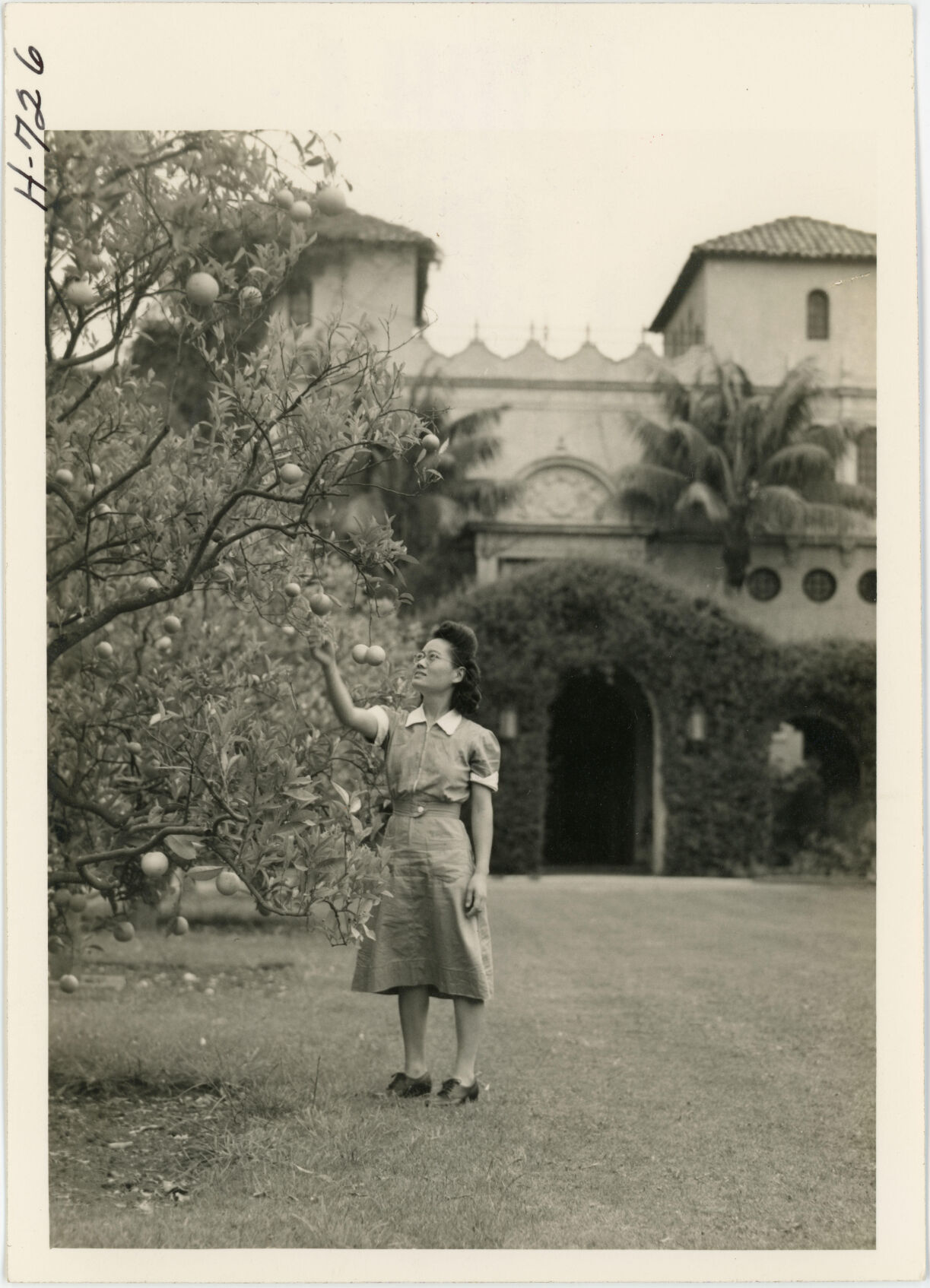 Carpinteria's Ota family through a government lens | News