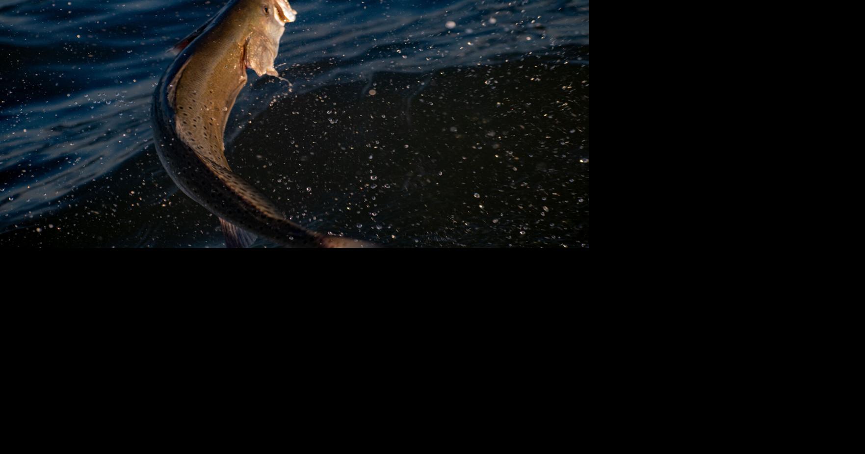 All in for fall fishing | Hooked | coastmonthly.com