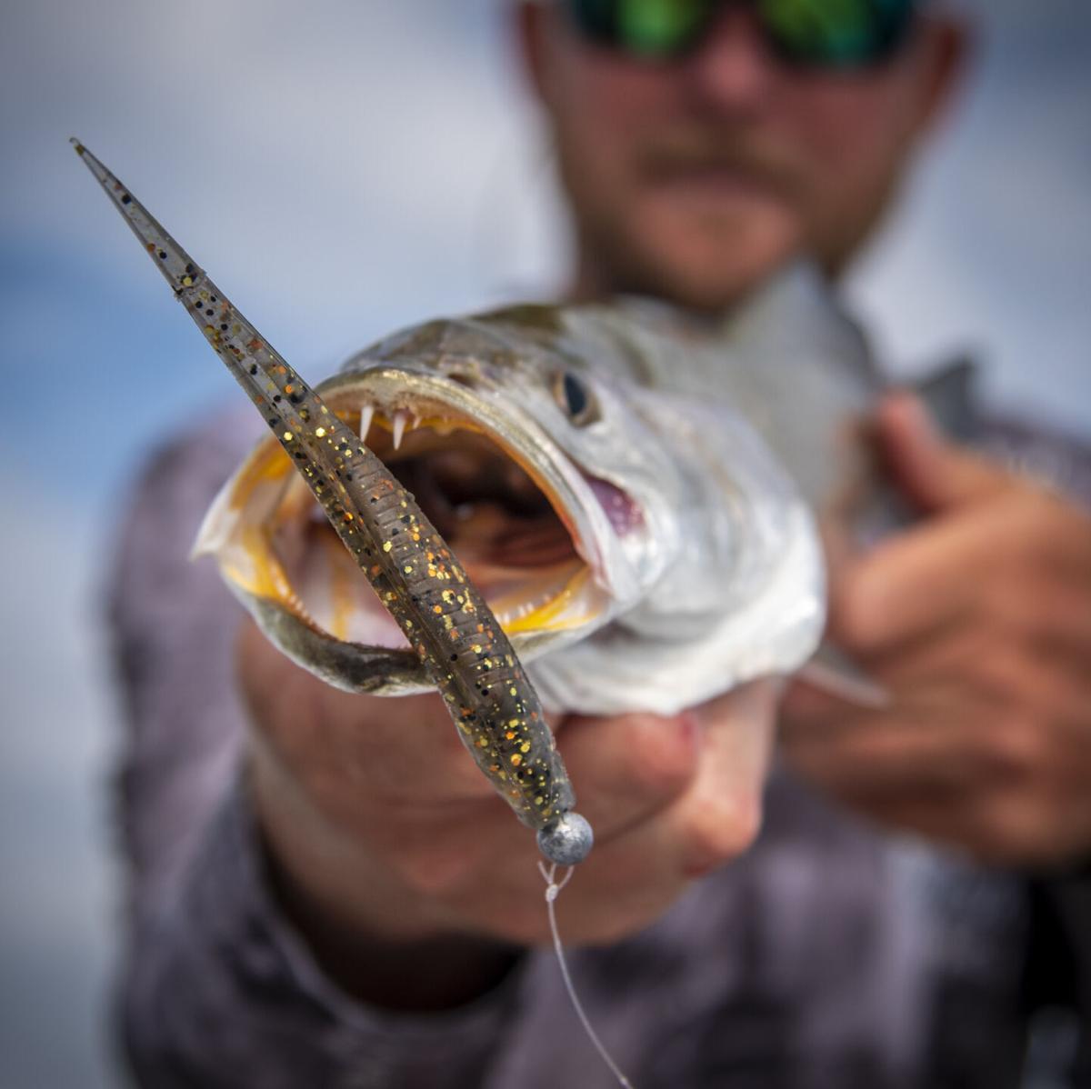 berkeley fishing lures Berkley Flicker Shad Blue Tiger