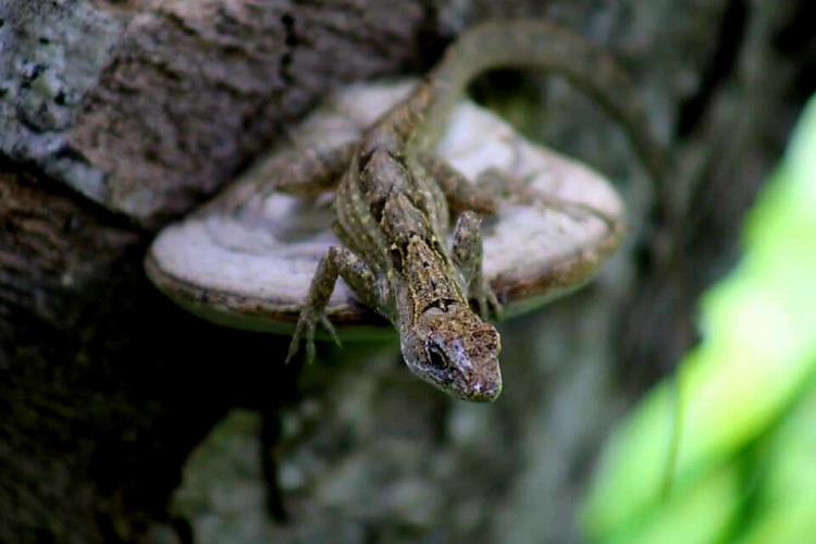 January Shutterbugs | Shutterbugs | coastmonthly.com