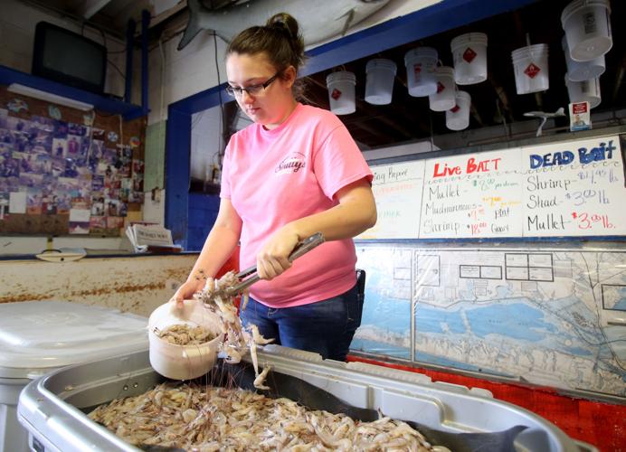 Taking the bait Features