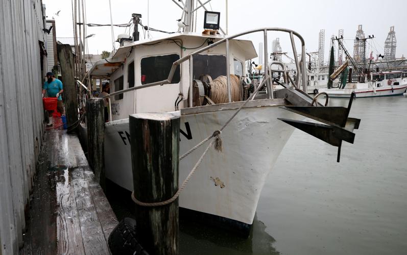 Unloading Red Snapper Plenty of fish in the sea? | Features | coastmonthly.com