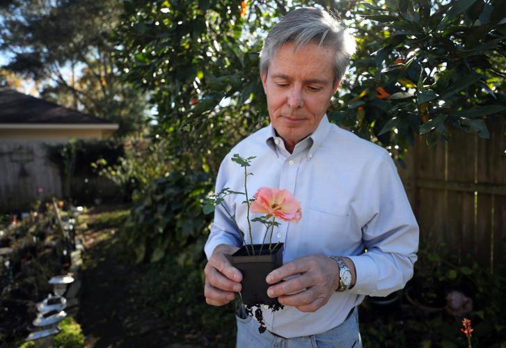 A rare species Features