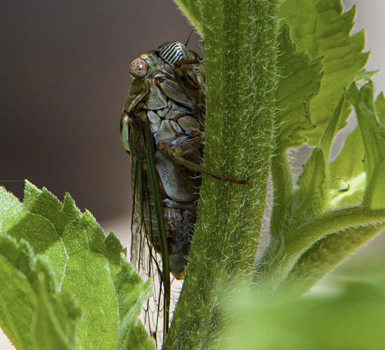 September Shutterbugs | Shutterbugs | coastmonthly.com