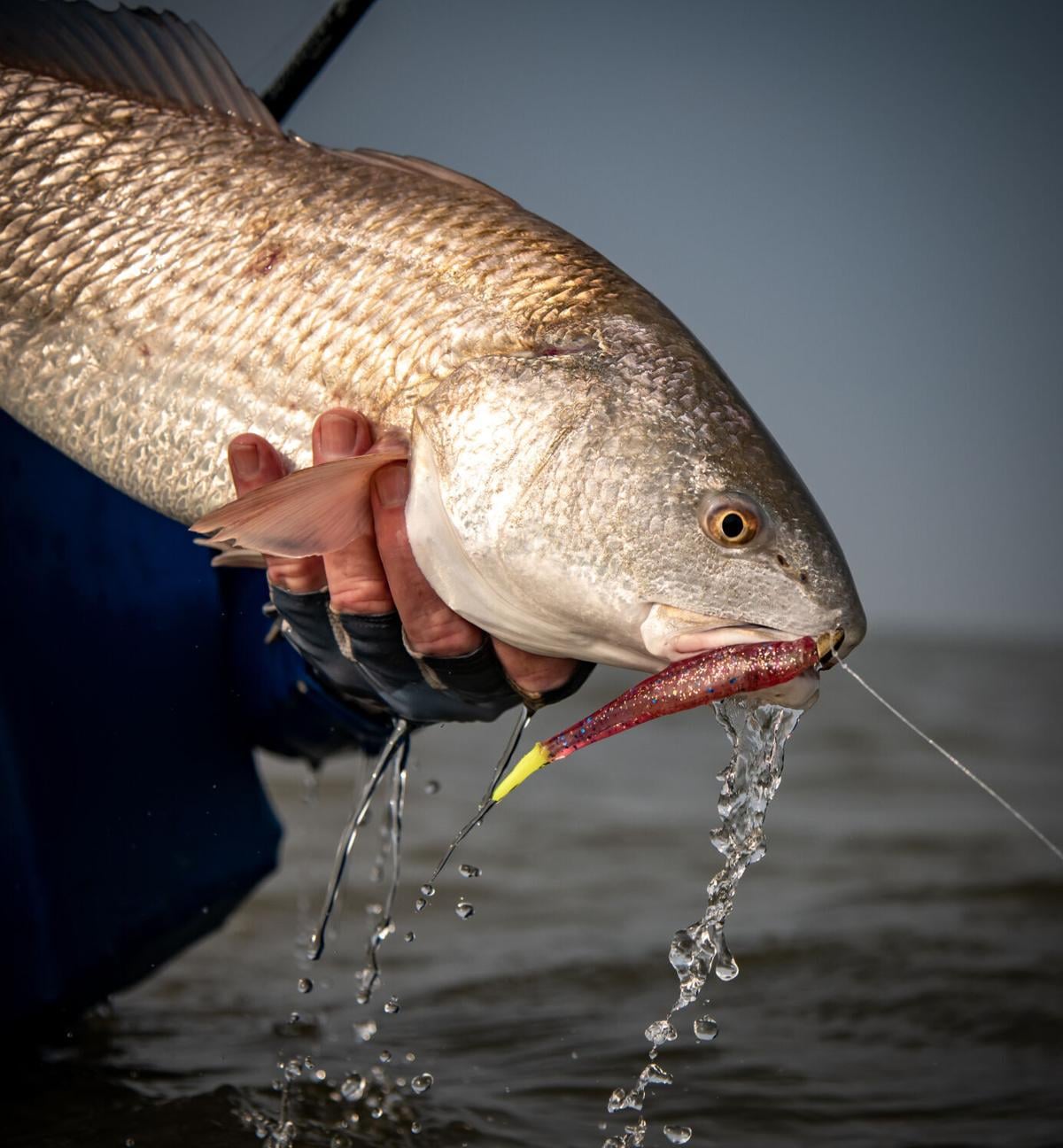 bluegil fishing lures 7 Best Panfish Lures to Catch Big Ones