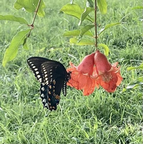 September Shutterbugs | Shutterbugs | coastmonthly.com