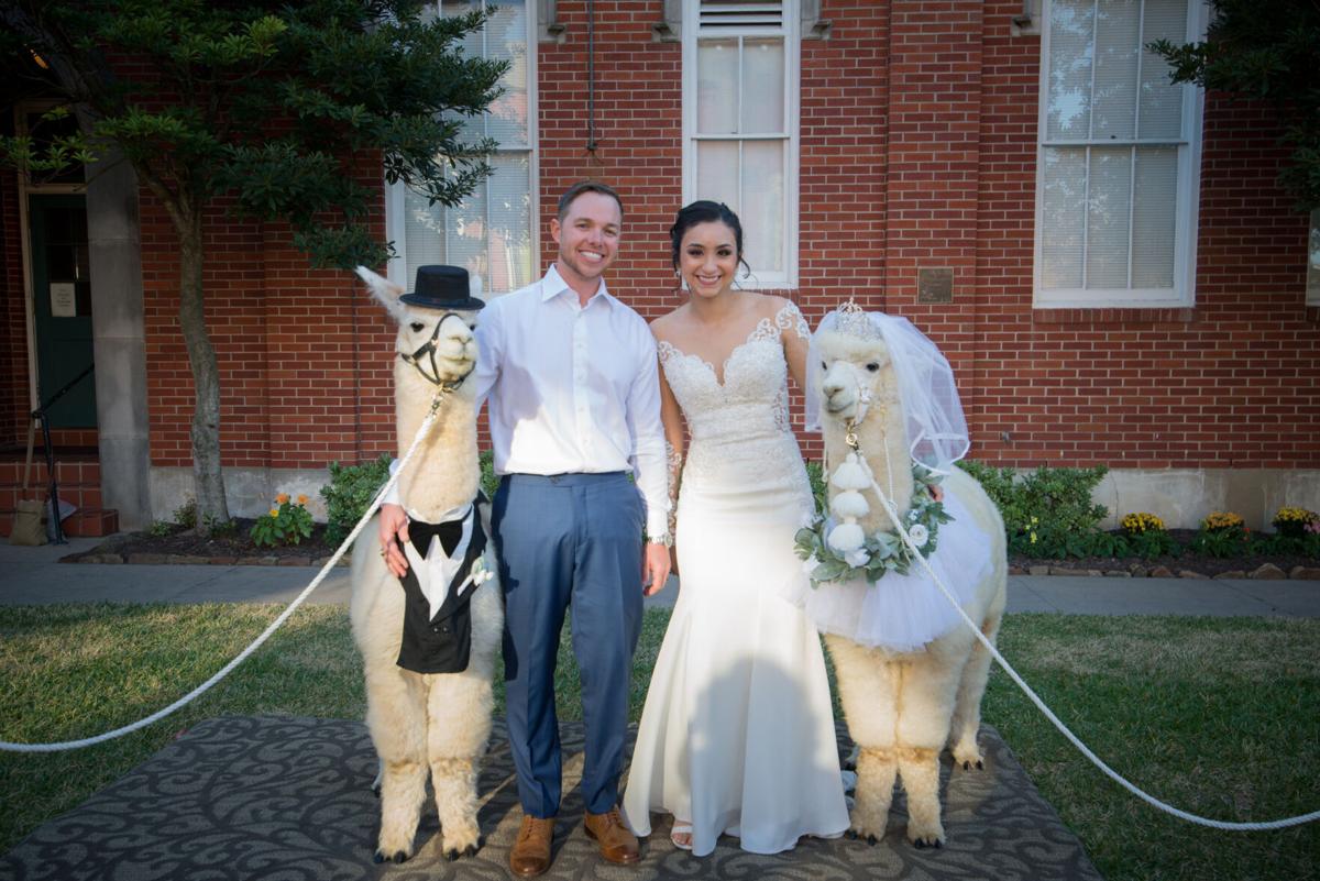 Bridal Shorelines | Bridal | coastmonthly.com, image size:1200x801