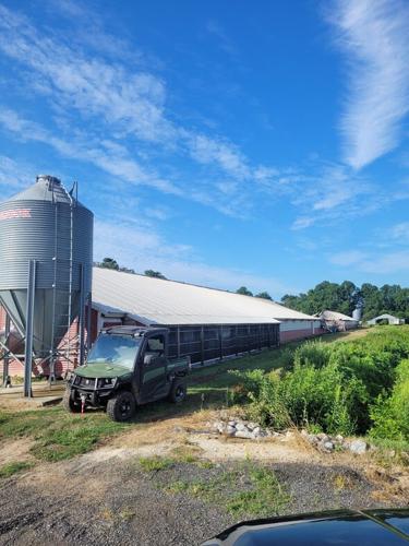 Possum Hill Farms Inc chicken house