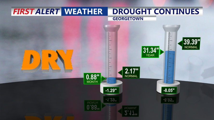 RAINFALL COUNT - NOVEMBER 2024