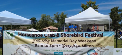 Horseshoe Crab Festival