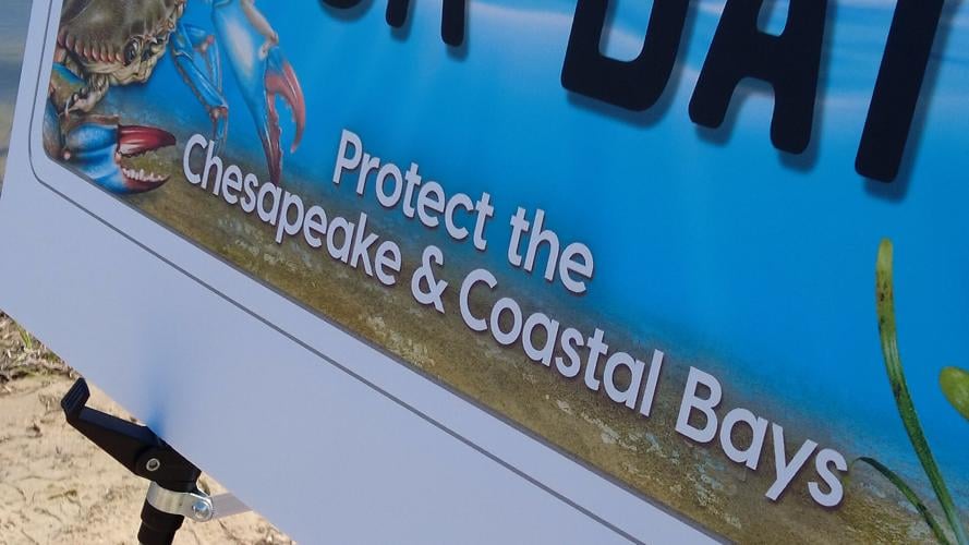 License Plate Close-up