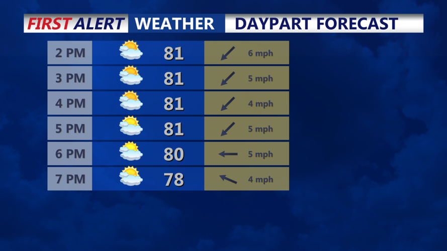 Day Part Hourly Forecast