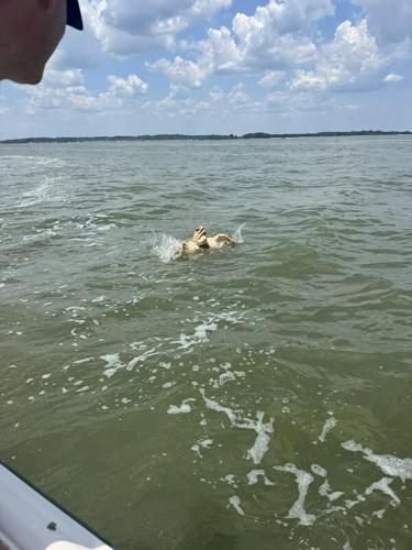 Photo from Saturday, June 22