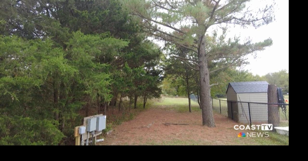Great Marsh Park survey feedback to help determine future of