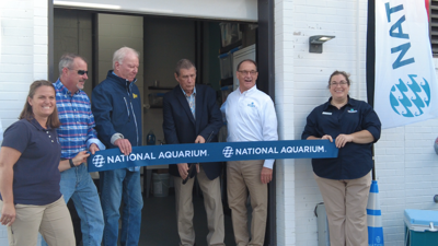 New rescue center for stranded sea animals opens in Ocean City