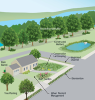 Two Programs Offer Assistance to Landowners in Improving Chesapeake Bay Water Quality