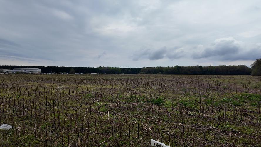 The ordinance will remain open for public comment until the next Town Council meeting.