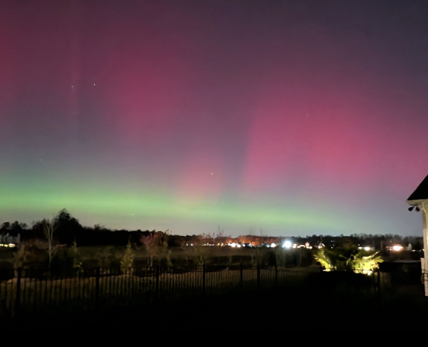 Megan Stack, Lewes.png