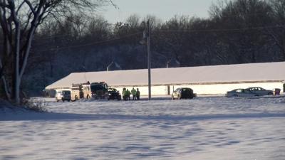 Ellendale Chicken House