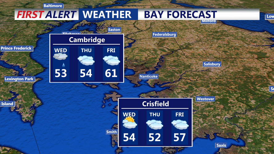BAY FORECAST